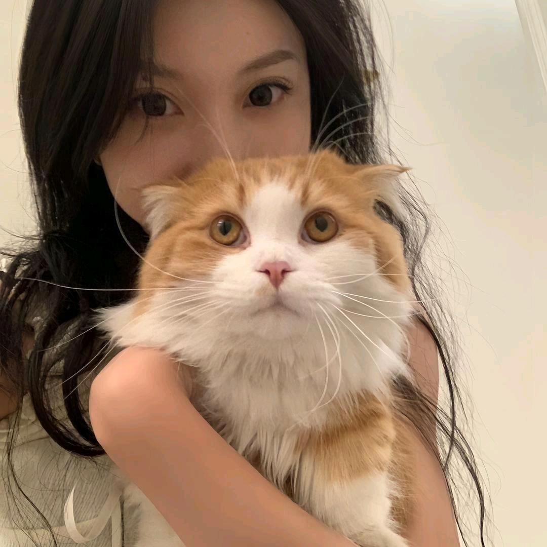 可爱媛