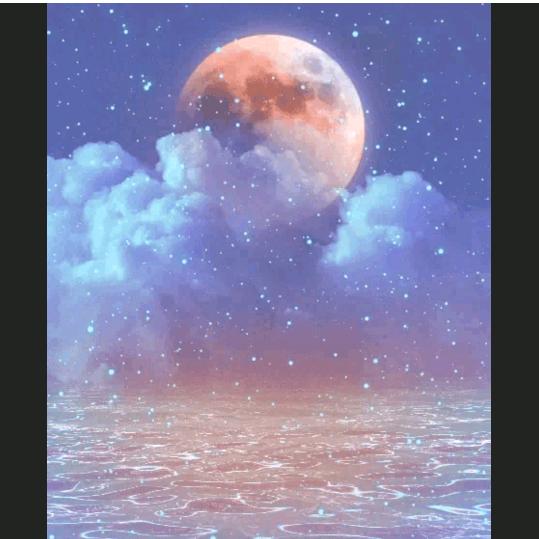 星云✨