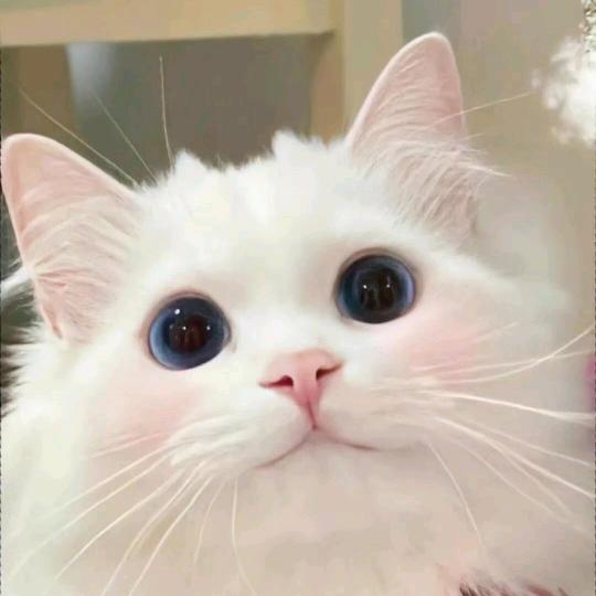 凯源玺头像