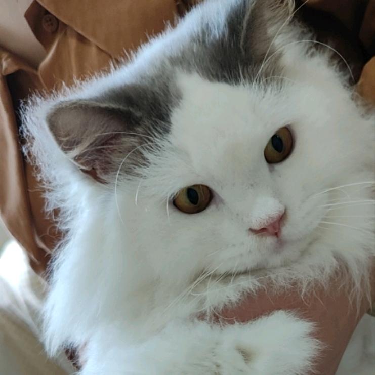 失业人员社会化训练