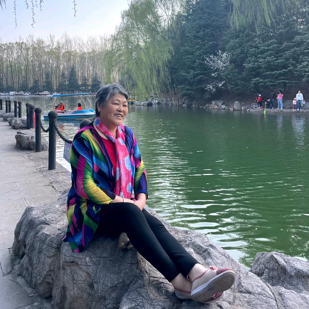 美丽的天鹅