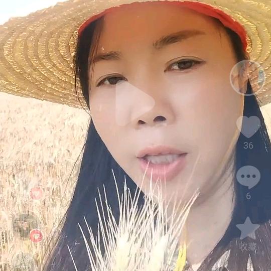 谁愿意陪我浪迹天涯