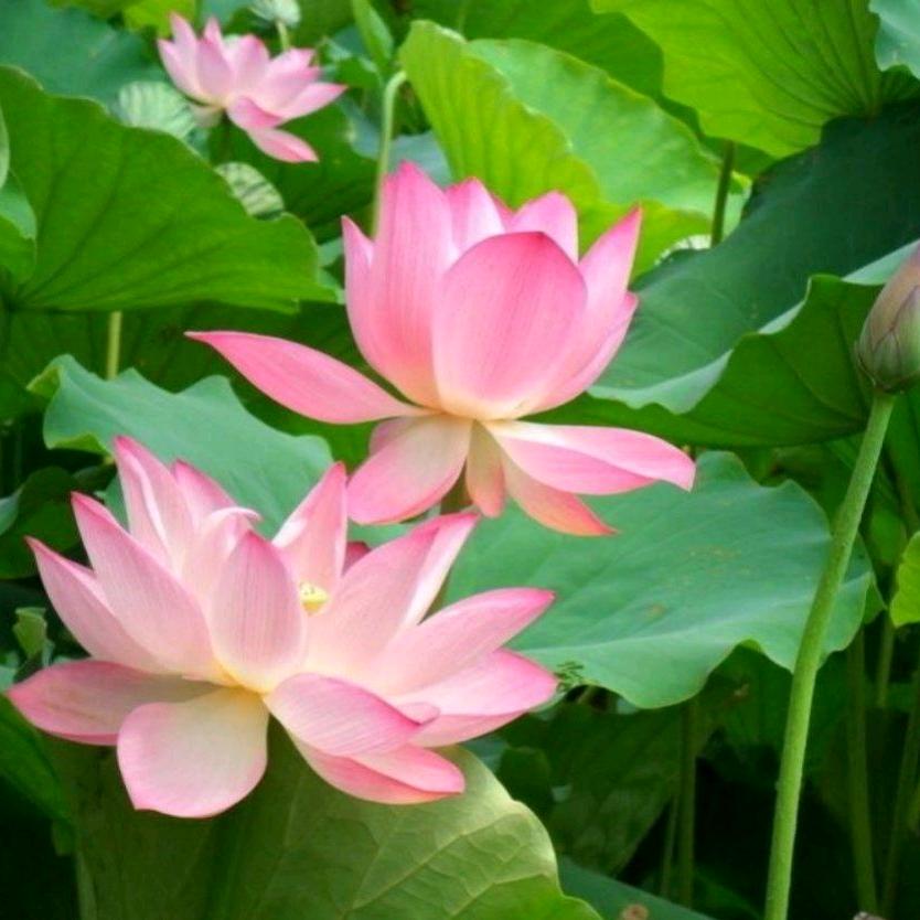 @慧慧