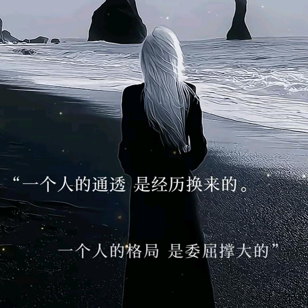 紫夜雨落