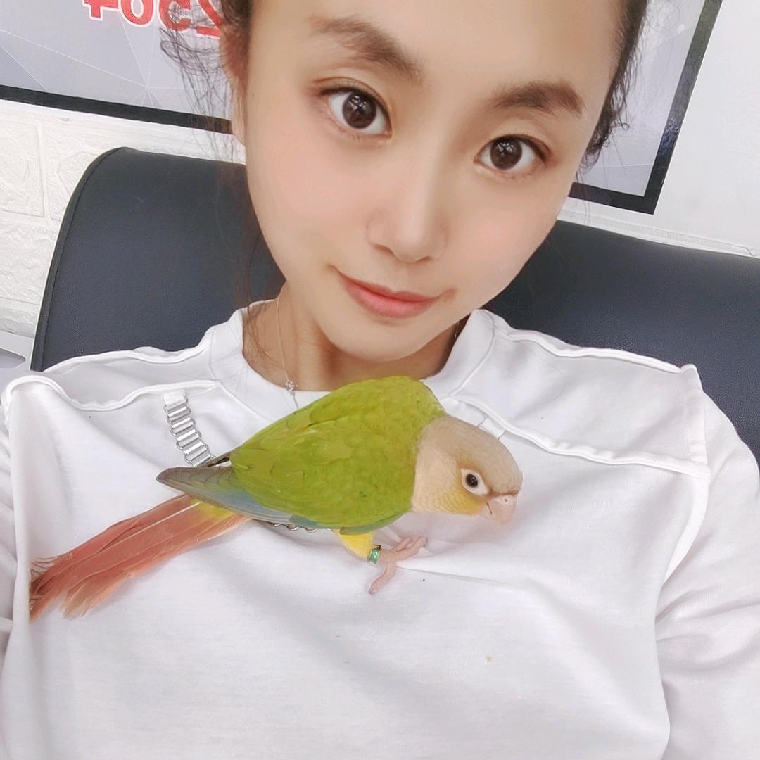鹦鹉铲屎官🦜🦜🦜