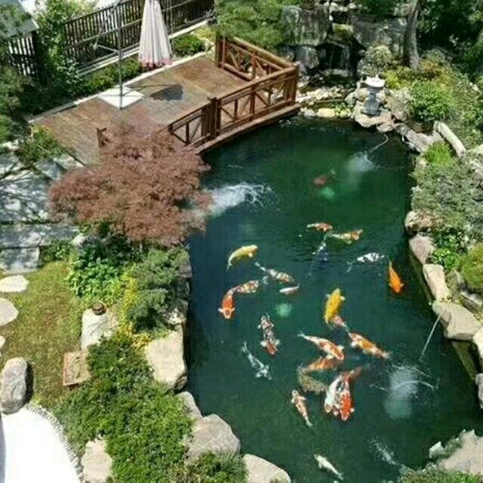 六枝秀水坊水族(庭院鱼池鱼缸)