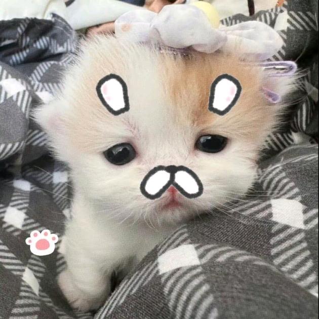 👿