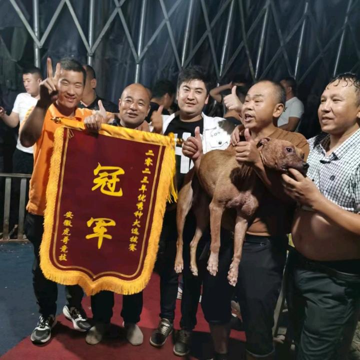 唐湾乾坤，太和户外大新镇第一专门户外带黄