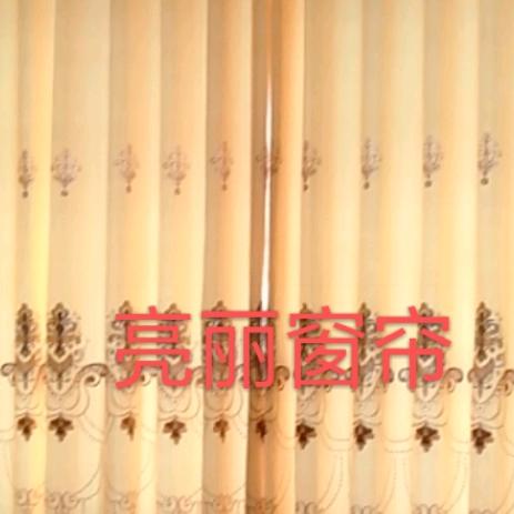 亮丽