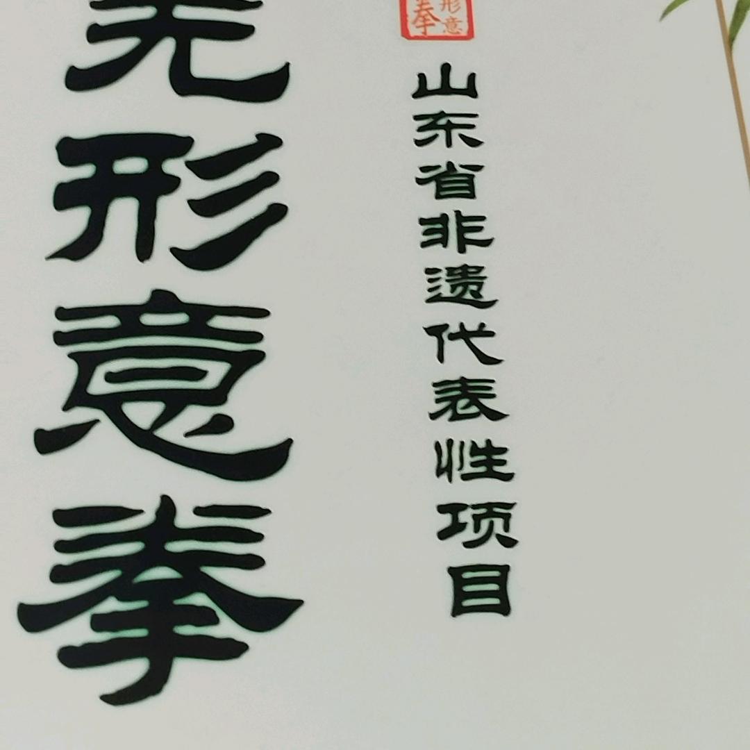 莱芜形意拳女队日常训练