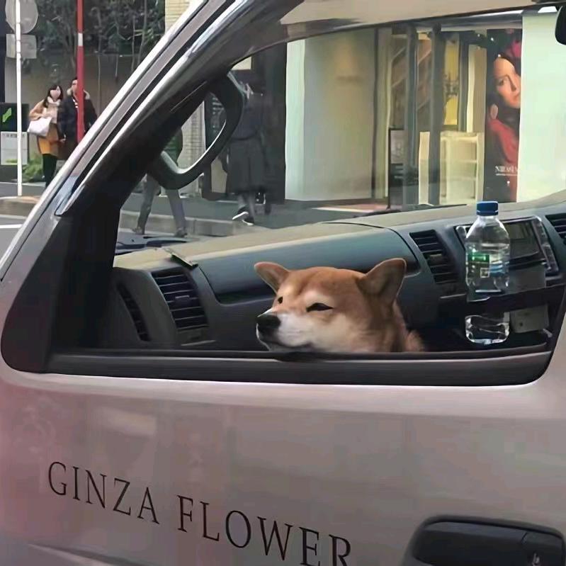 消失的昨天.