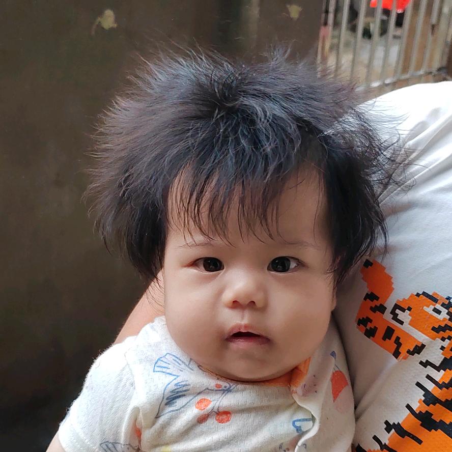 娃娃鱼🐠小小郭