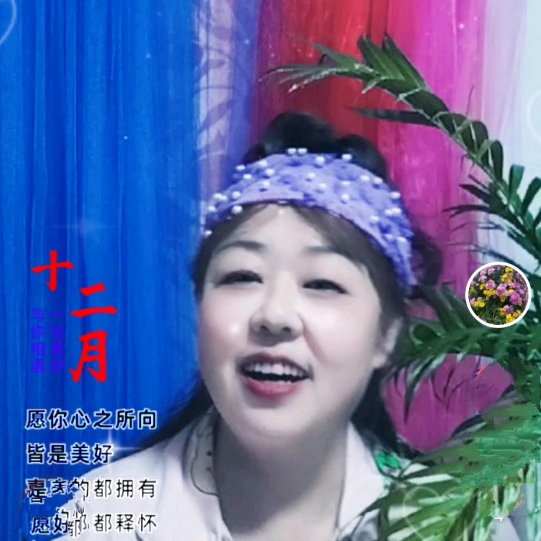 音悦红娘