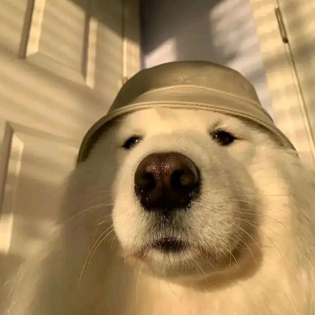 🌈……🌈……🌈