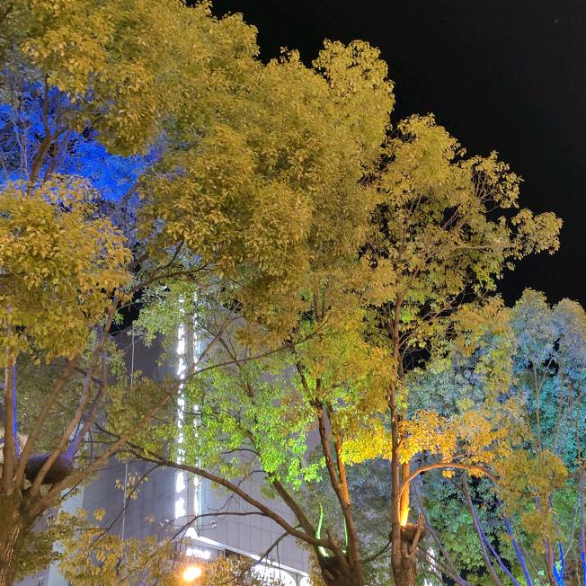 芙美假发工厂店