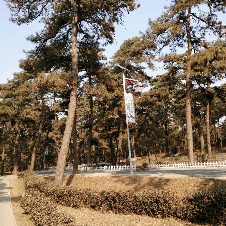 用户9662094404027一帆风顺