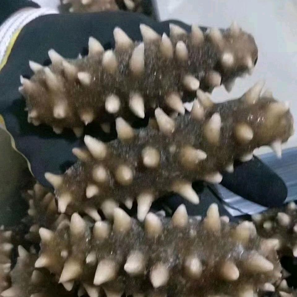 璀璨人生