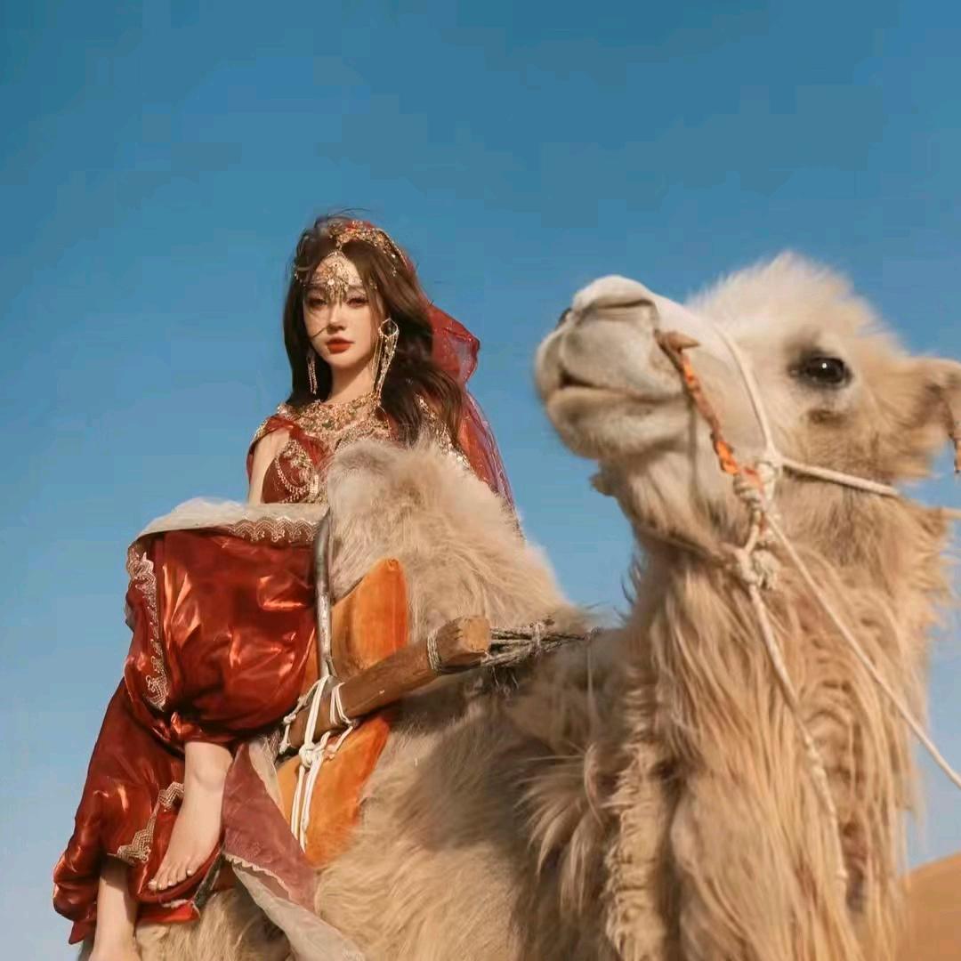 新疆驼奶粉厂源直发