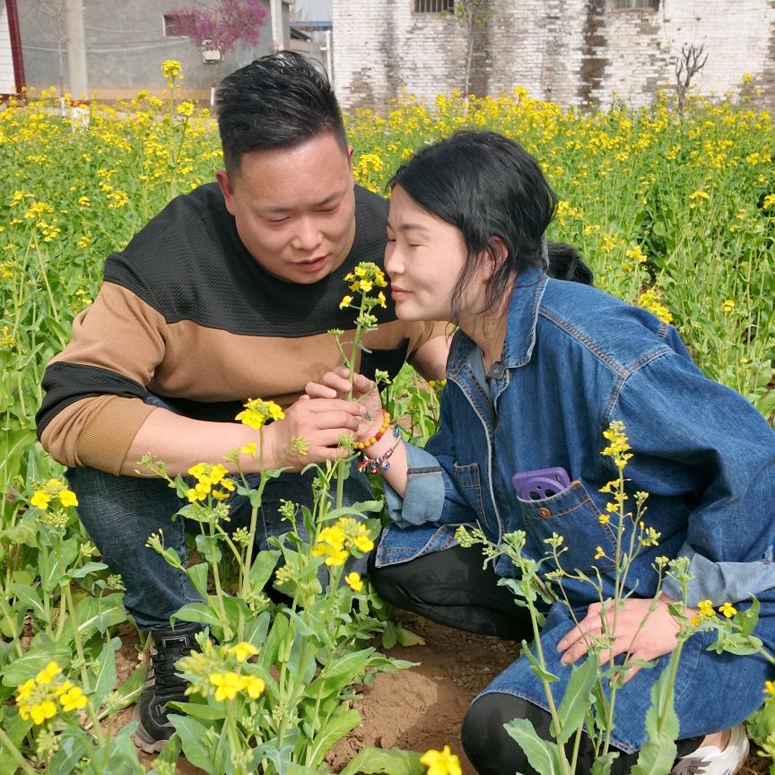 杨家的莹莹
