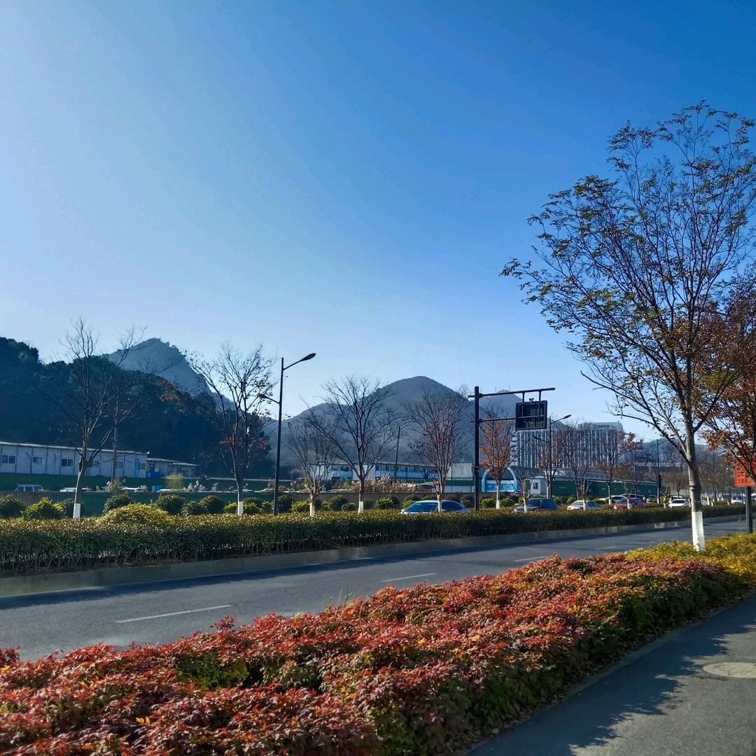 你为了谁