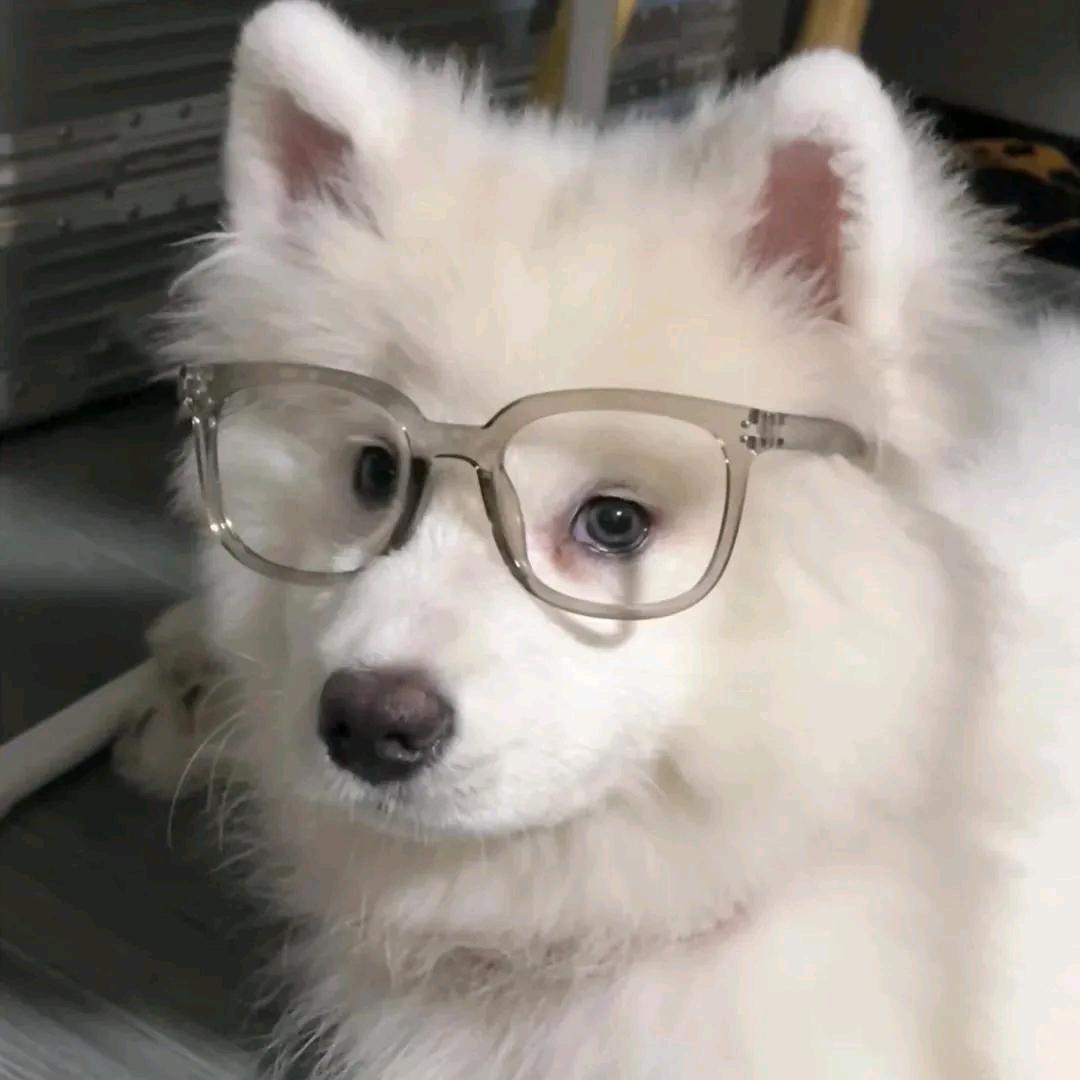 陌阡.