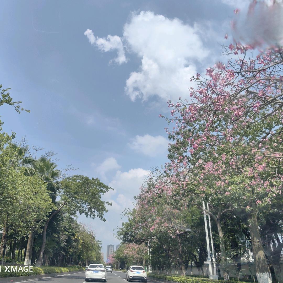 永远赤诚～