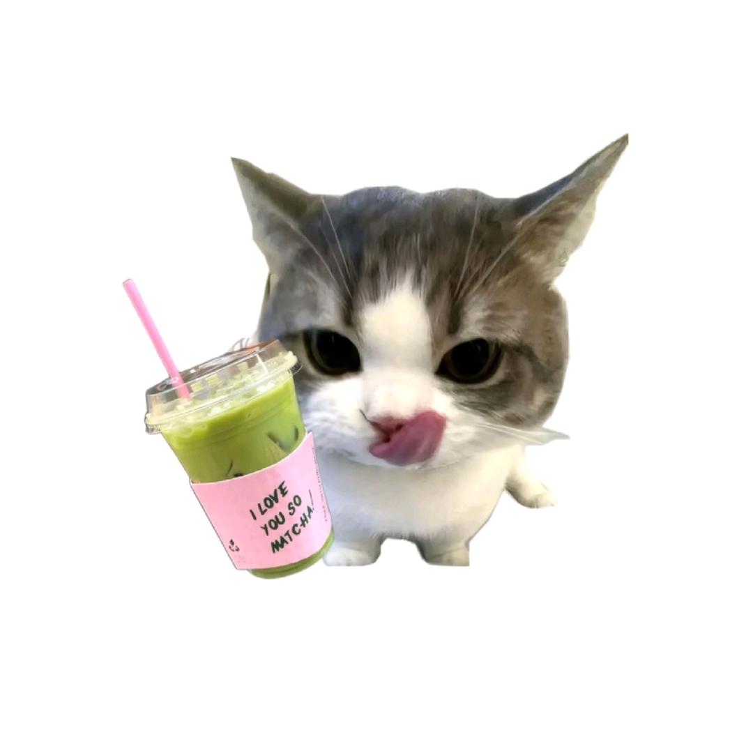小年糕