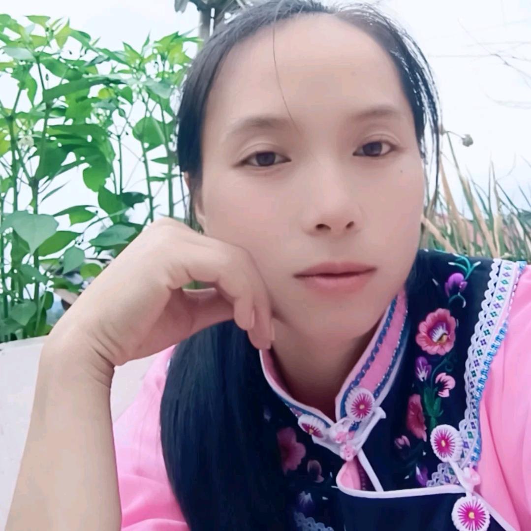 果果养猪