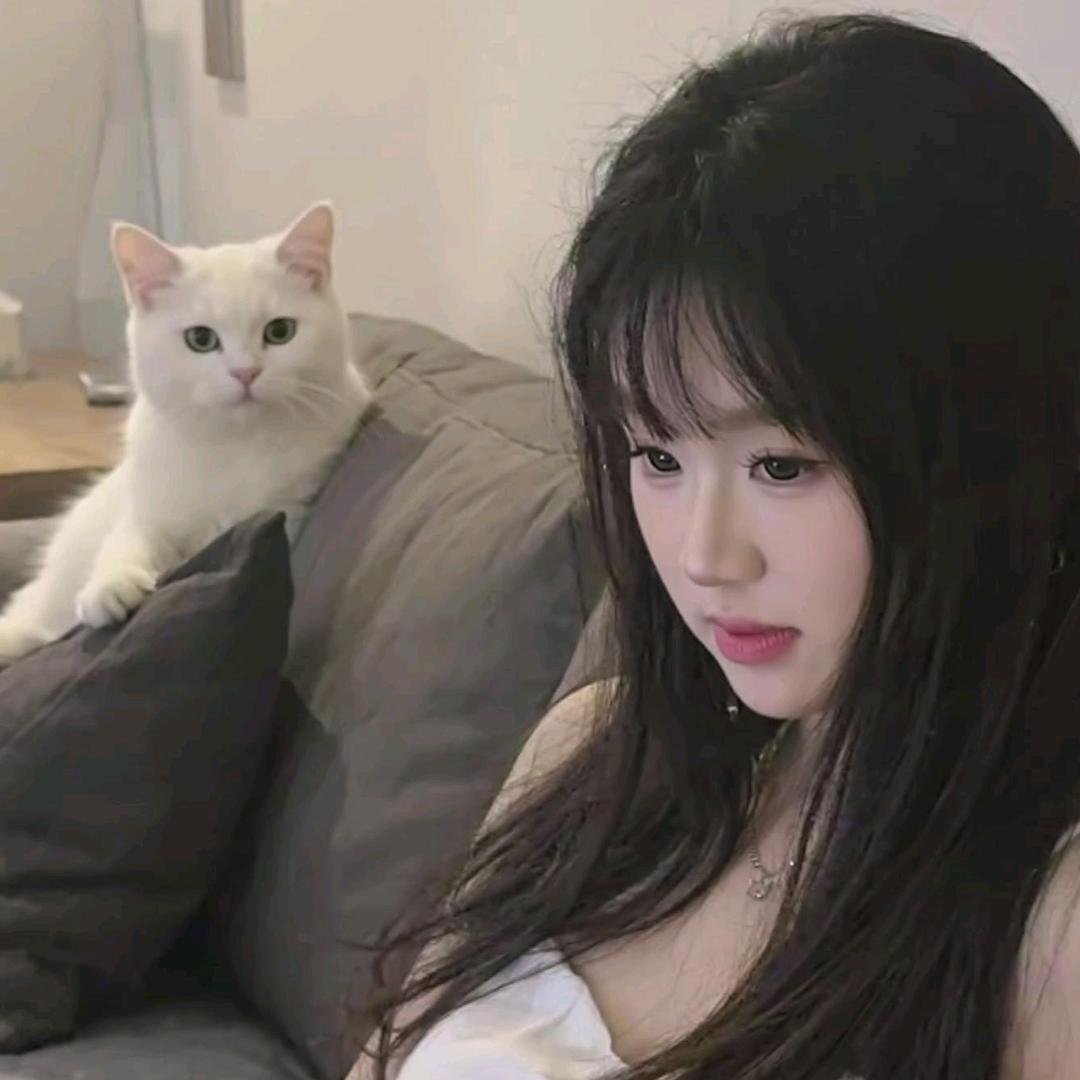 十七.