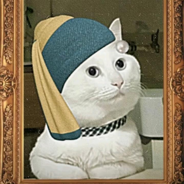 真的不能再吃了