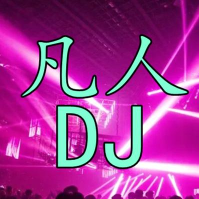 凡人DJ_优盘