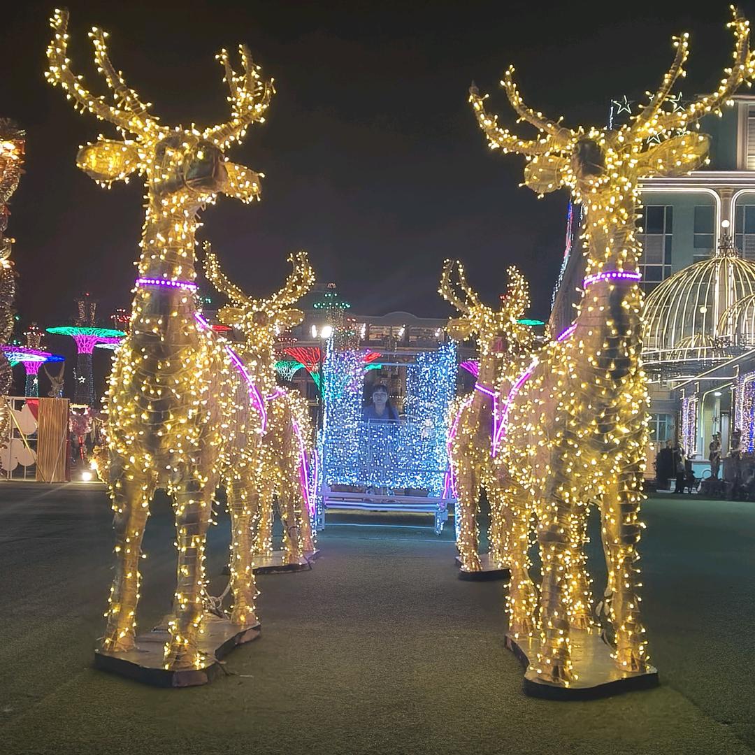 往后余生全是你