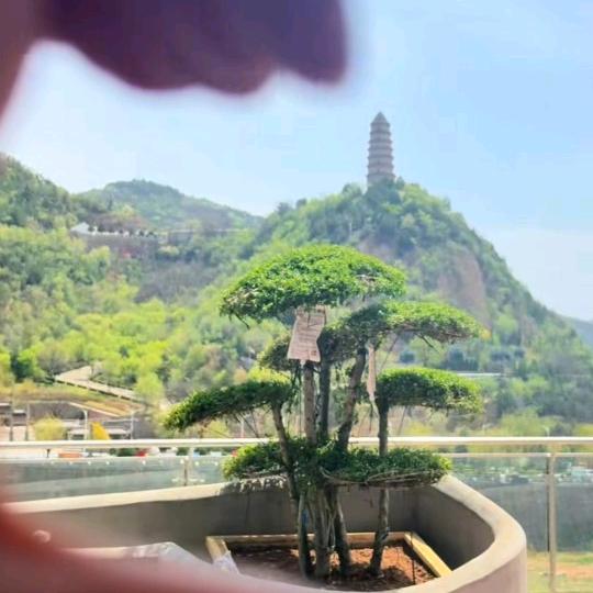 心有你才会暖