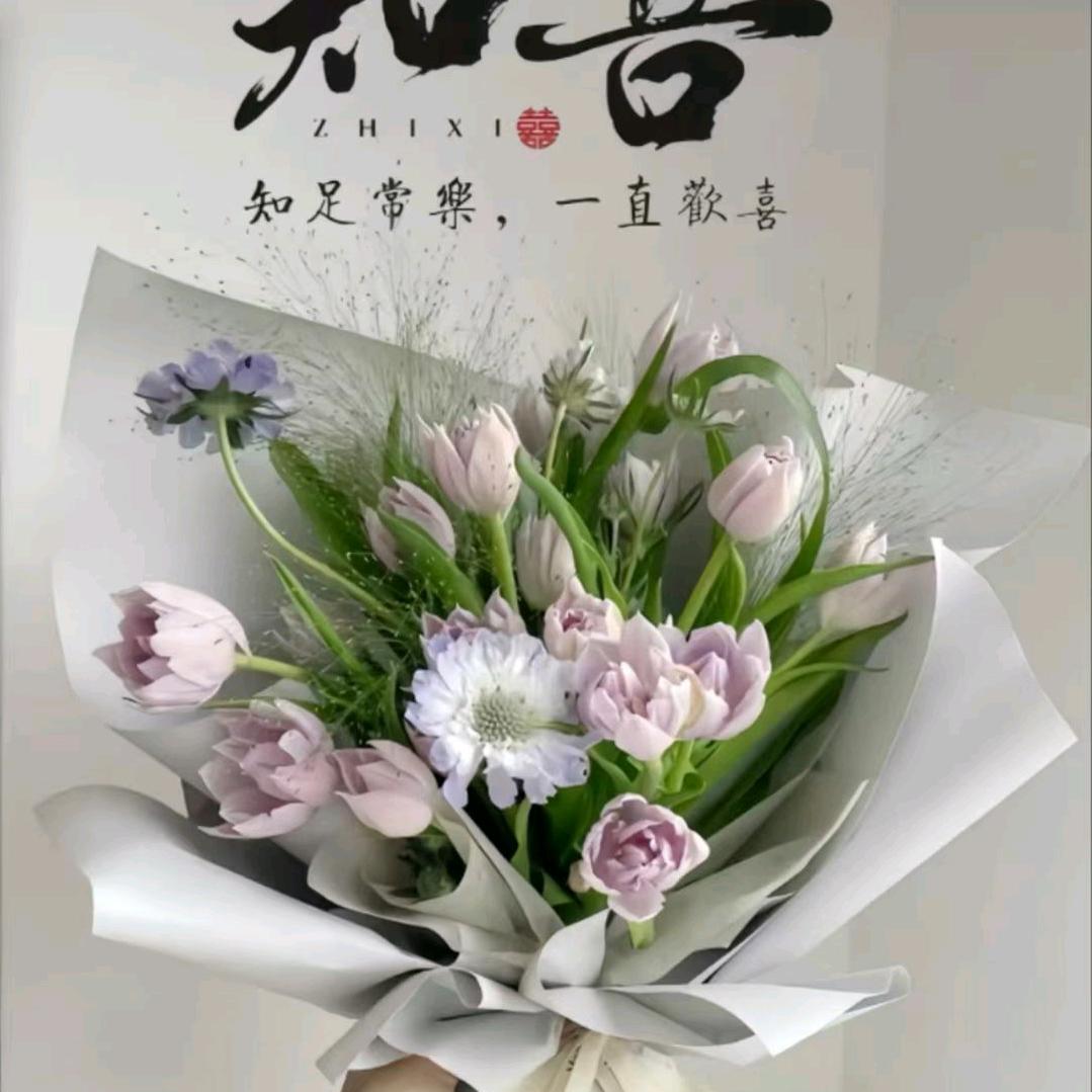 南兮