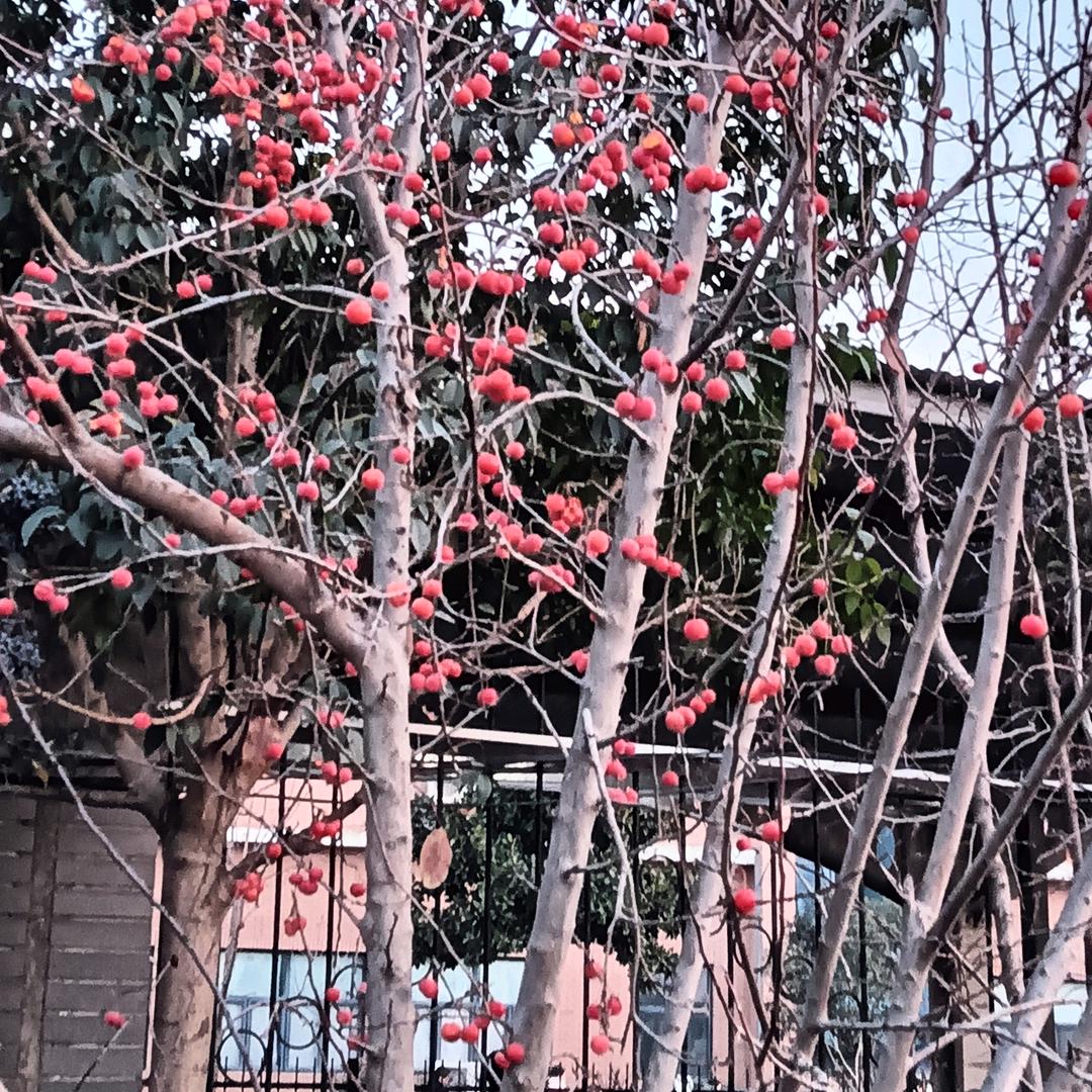 我爱我家