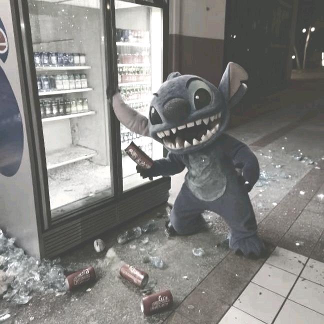 酷猫