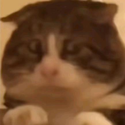 小咩