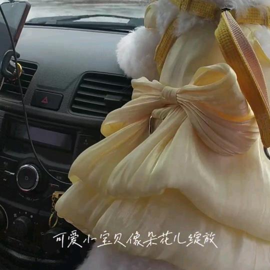 张小美