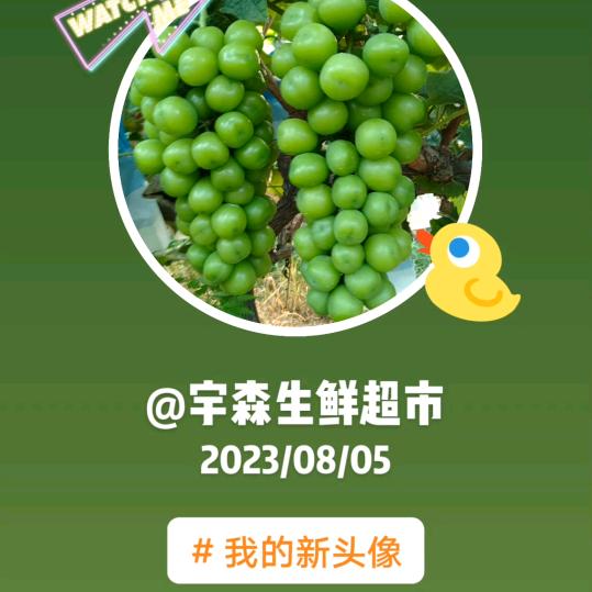 南阳宇森商贸有限公司