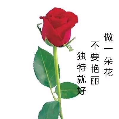 单单等你，附近的