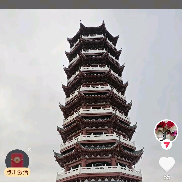 小马哥…………