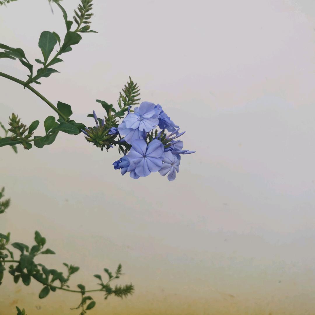 记得登录
