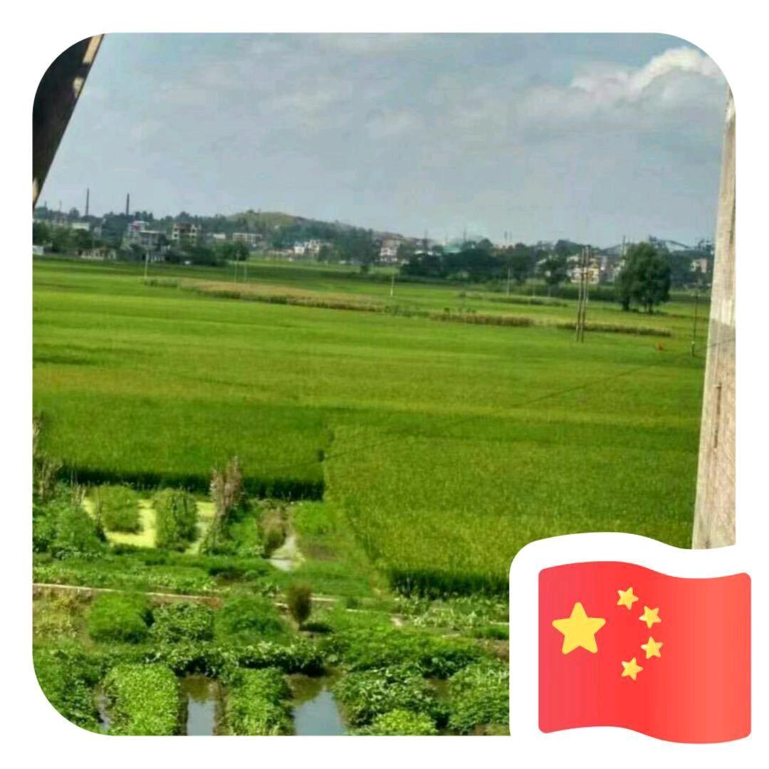 温洁霞