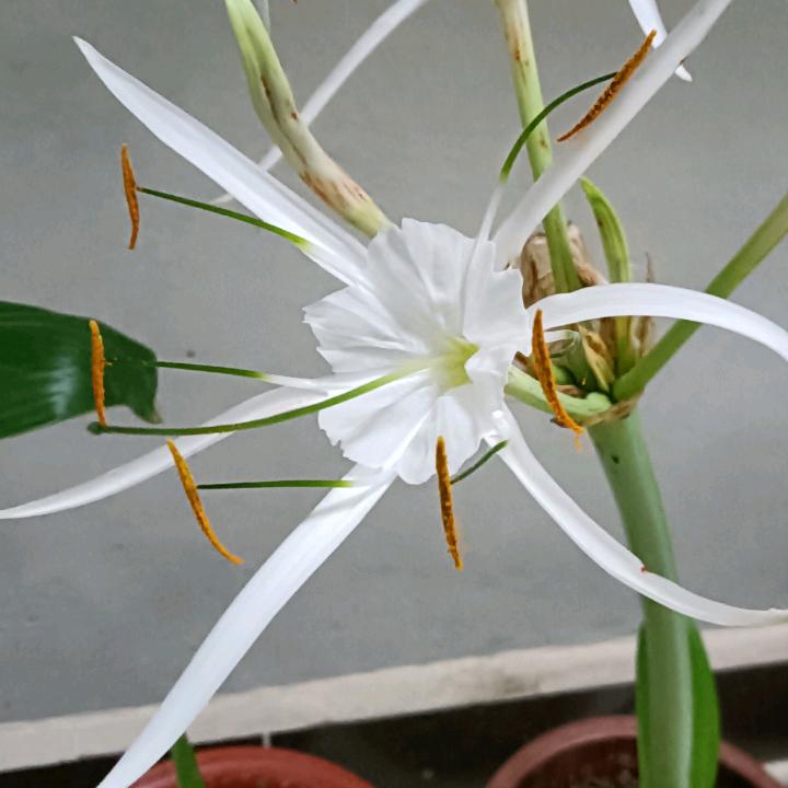 让梦冬眠