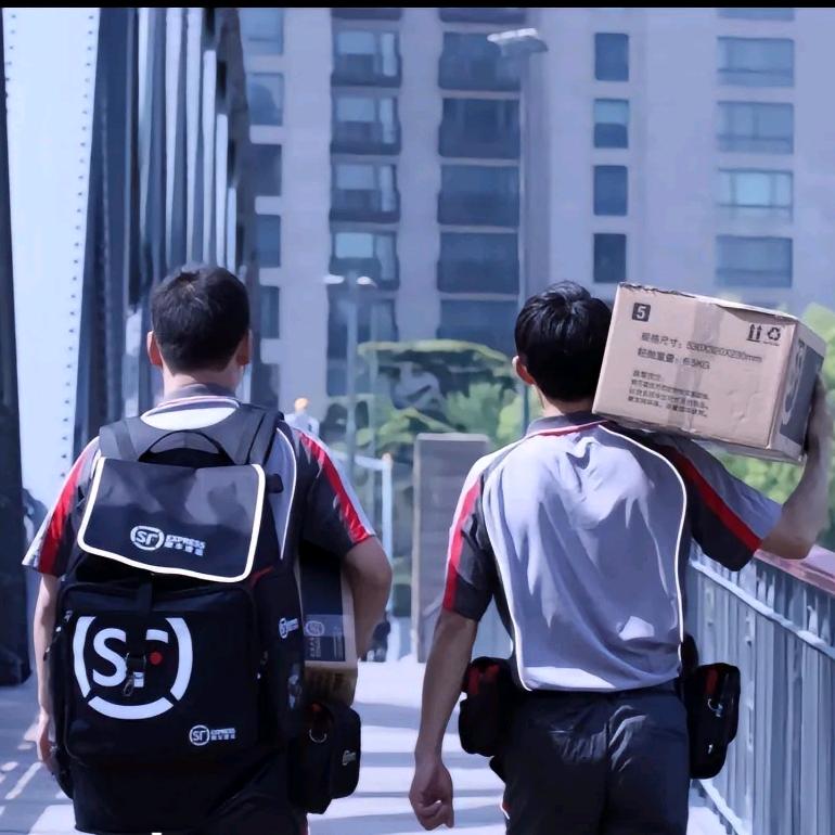 顺丰专享急件～熊大