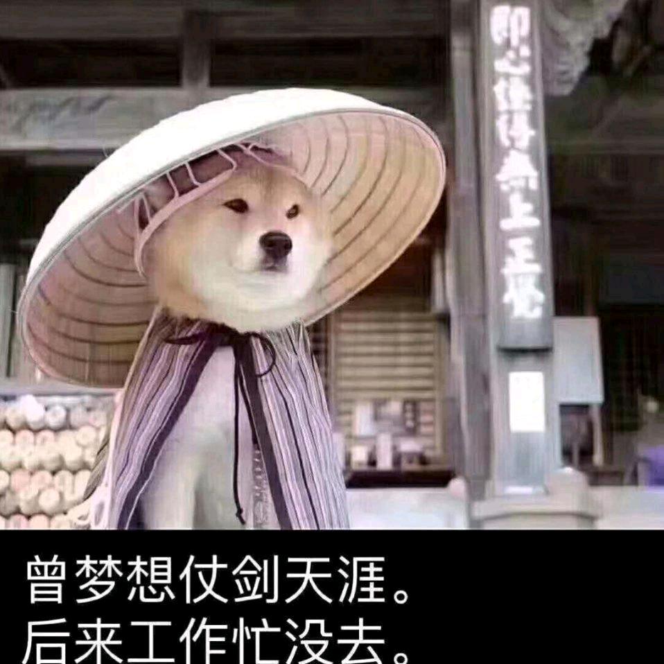 心所向，皆可往🎣🐘