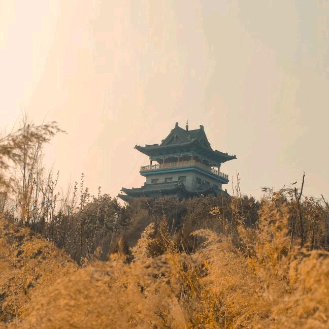 凌晨五、半