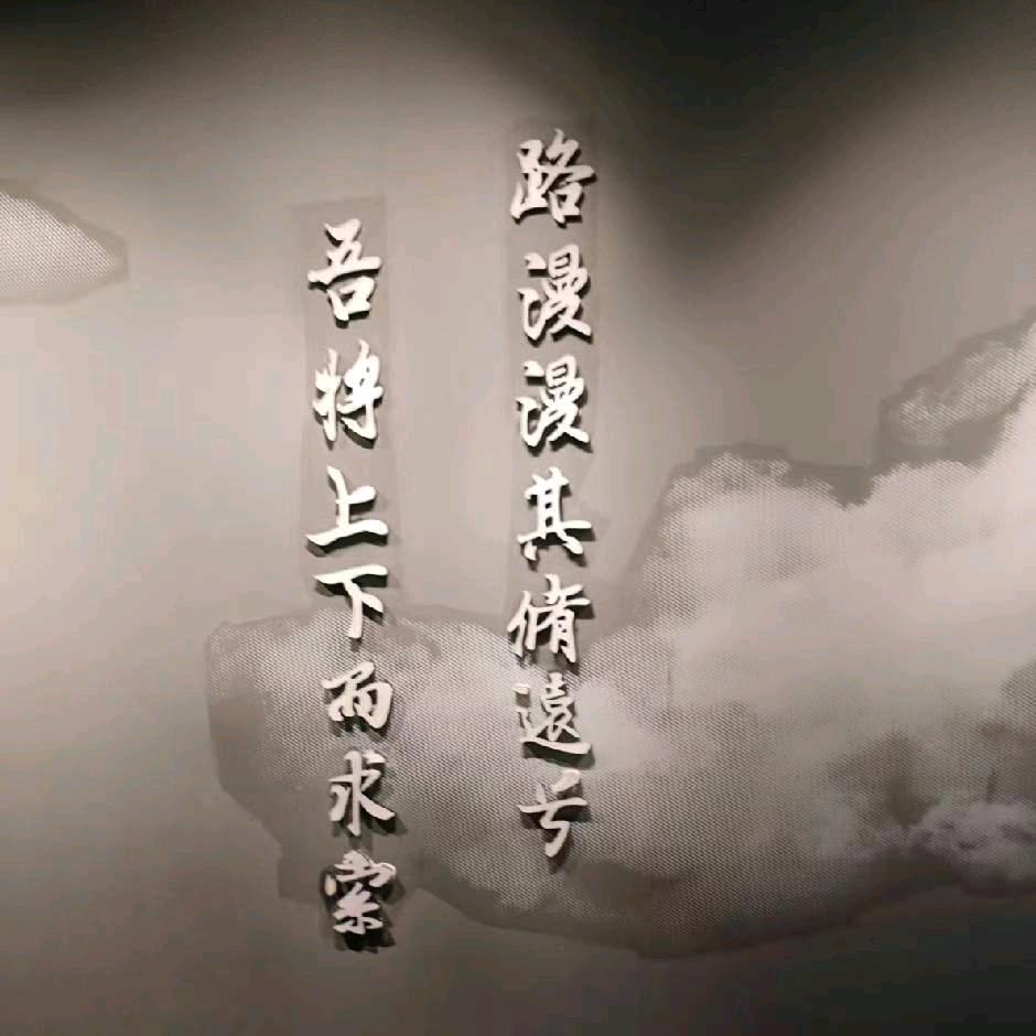 涛皮子甄选