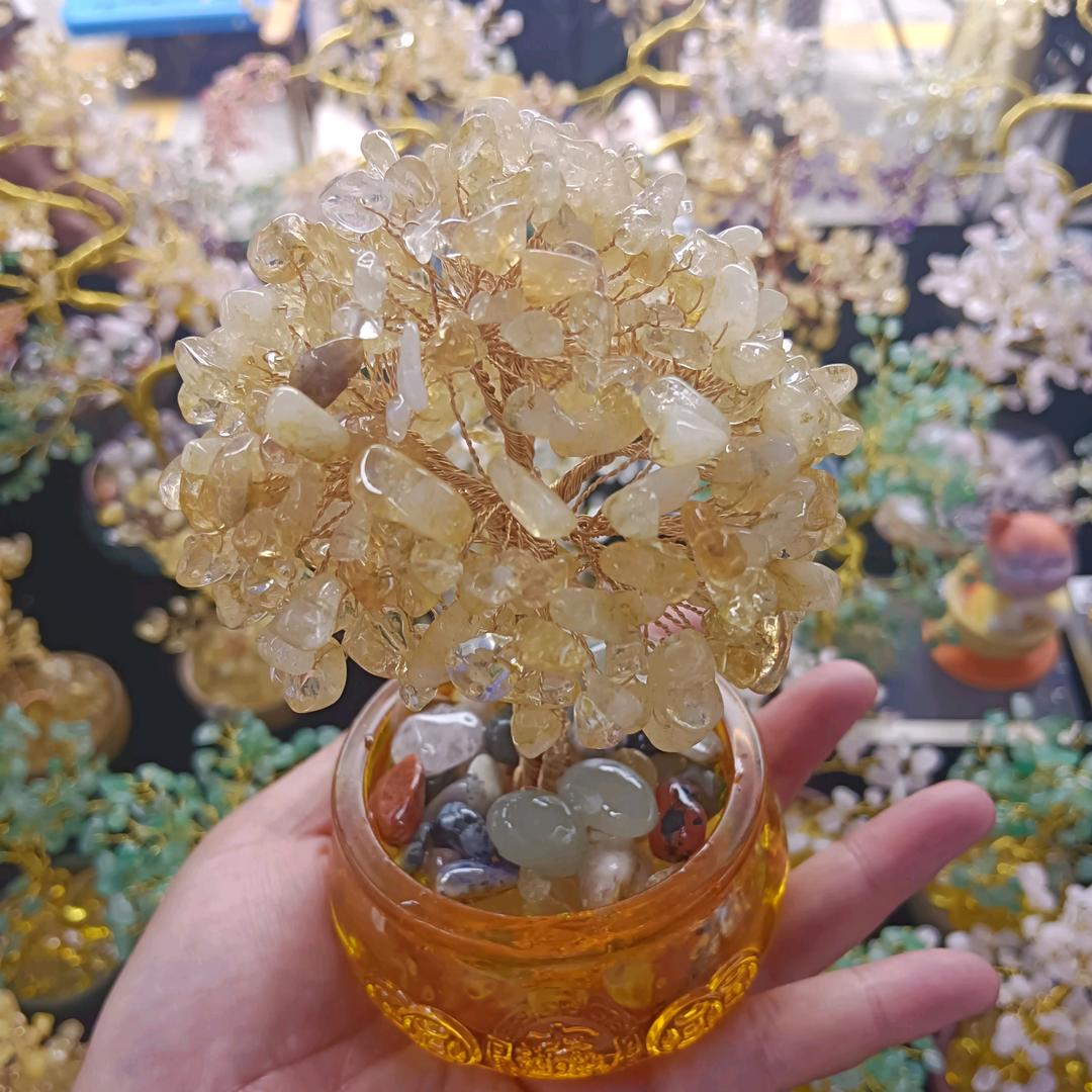 静态