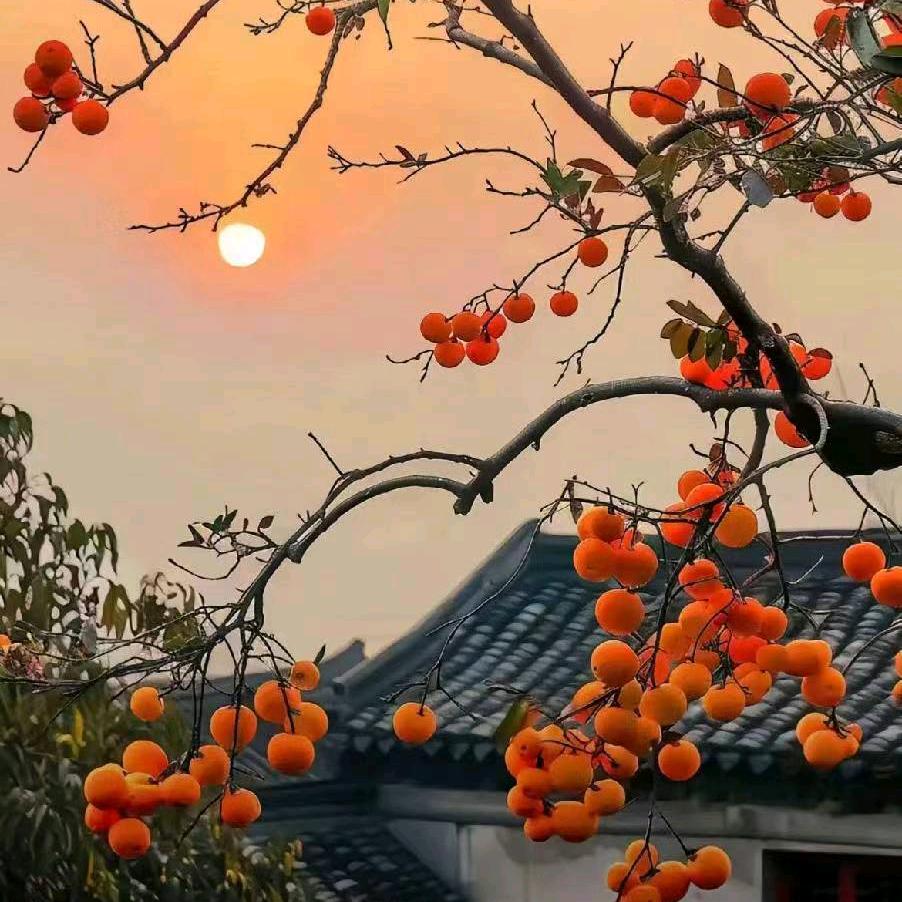 闫哥竹笛